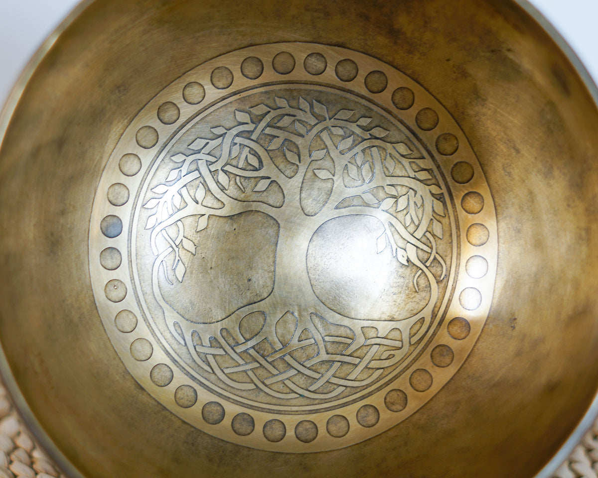 Close up of a golden bronze Tibetan singing bowl engraved with a Tree of Life featuring spreading branches, roots, and a circular dotted border.