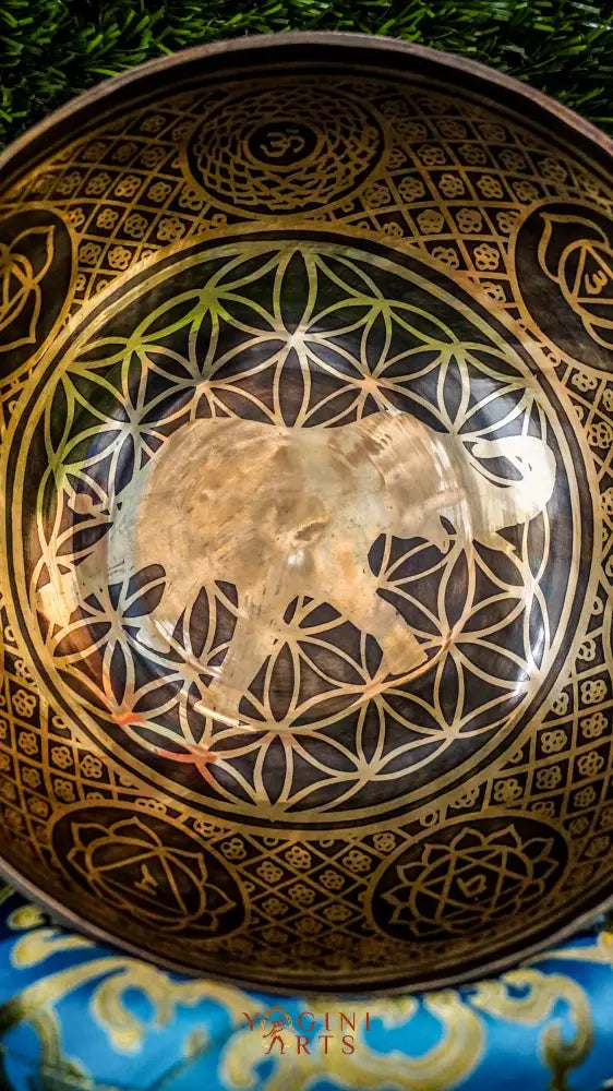 The Elephant Singing Bowl features a wise elephant symbol and floral patterns with the Om Mani Padme Hum chant. It produces a deep, grounding tone that brings calm, strength, and focus. Perfect for meditation and reflection. Includes wooden mallet and silk cushion.