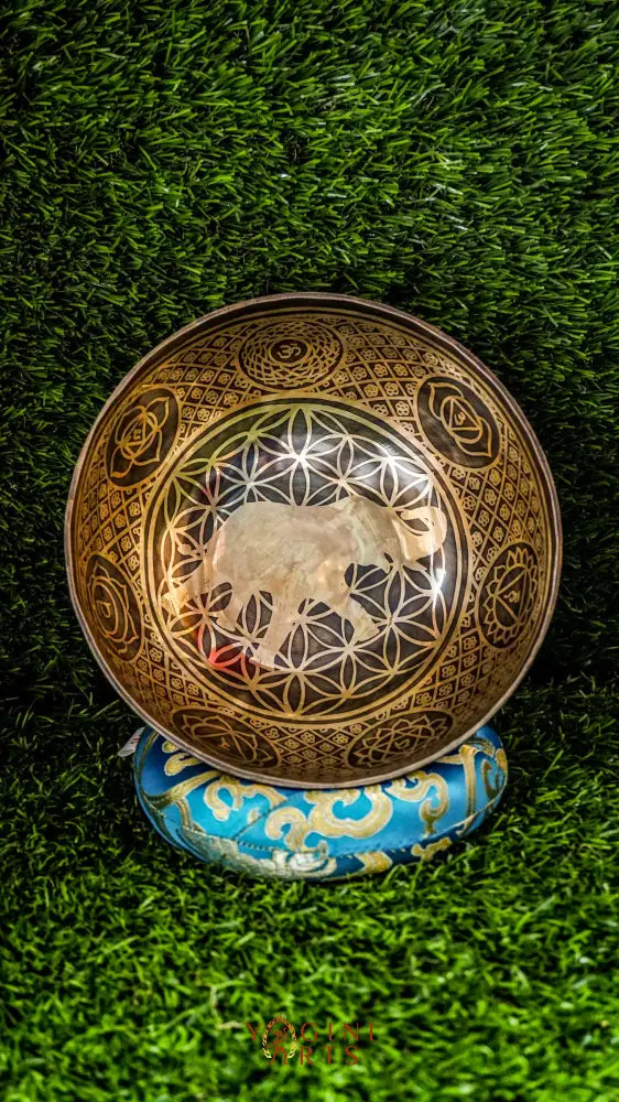 The Elephant Singing Bowl features a wise elephant symbol and floral patterns with the Om Mani Padme Hum chant. It produces a deep, grounding tone that brings calm, strength, and focus. Perfect for meditation and reflection. Includes wooden mallet and silk cushion.