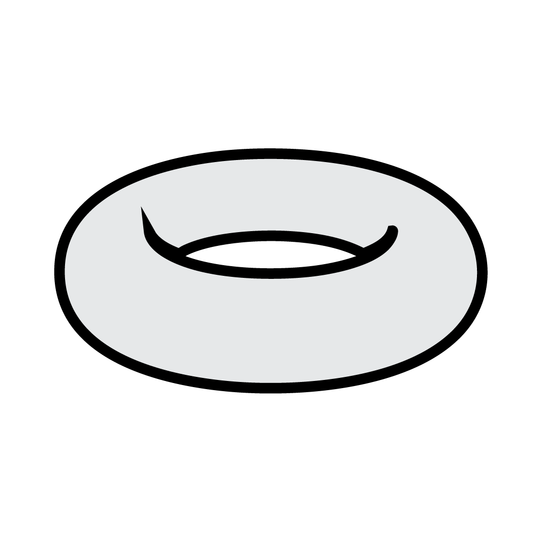 <strong>Ring Cushion</strong>