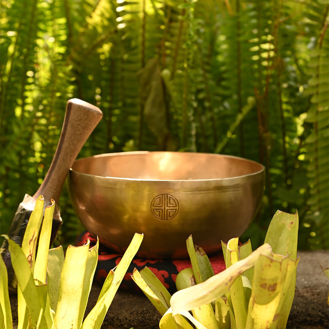 Singing Bowl