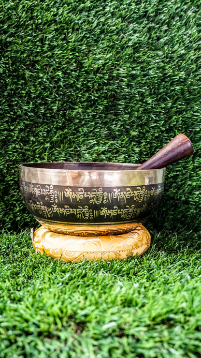 The Two Fish and Lotus Singing Bowl symbolizes harmony and growth. Inside, two fish face each other with a lotus beneath. The outside shows the Om Mani Padme Hum mantra in Tibetan. Its clear, calming tones support meditation and relaxation. Perfect for creating peace and balance in any space.