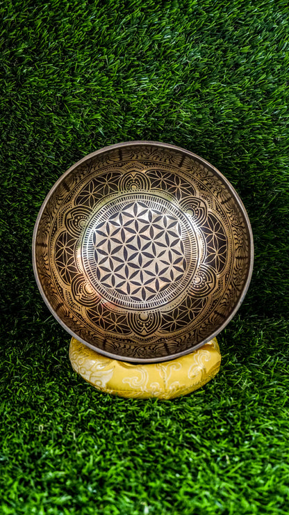 
The Flower of Life Singing Bowl brings sacred connection and clarity. Its center features the timeless Flower of Life symbol, surrounded by gentle mandala motifs that invite balance. The Om Mani Padme Hum mantra wraps the outside, adding spiritual depth. With a warm, grounding sound, this bowl supports mindfulness and stillness. Perfect for meditation or daily reflection, it blends beauty and meaning to uplift your space and spirit.