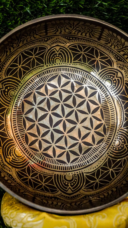 
The Flower of Life Singing Bowl brings sacred connection and clarity. Its center features the timeless Flower of Life symbol, surrounded by gentle mandala motifs that invite balance. The Om Mani Padme Hum mantra wraps the outside, adding spiritual depth. With a warm, grounding sound, this bowl supports mindfulness and stillness. Perfect for meditation or daily reflection, it blends beauty and meaning to uplift your space and spirit.