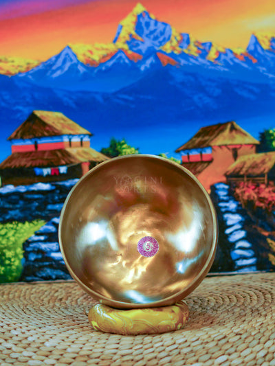Seven handcrafted Himalayan singing bowls arranged together, showing graduated sizes, chakra symbols, and warm antique bronze-gold finishes.