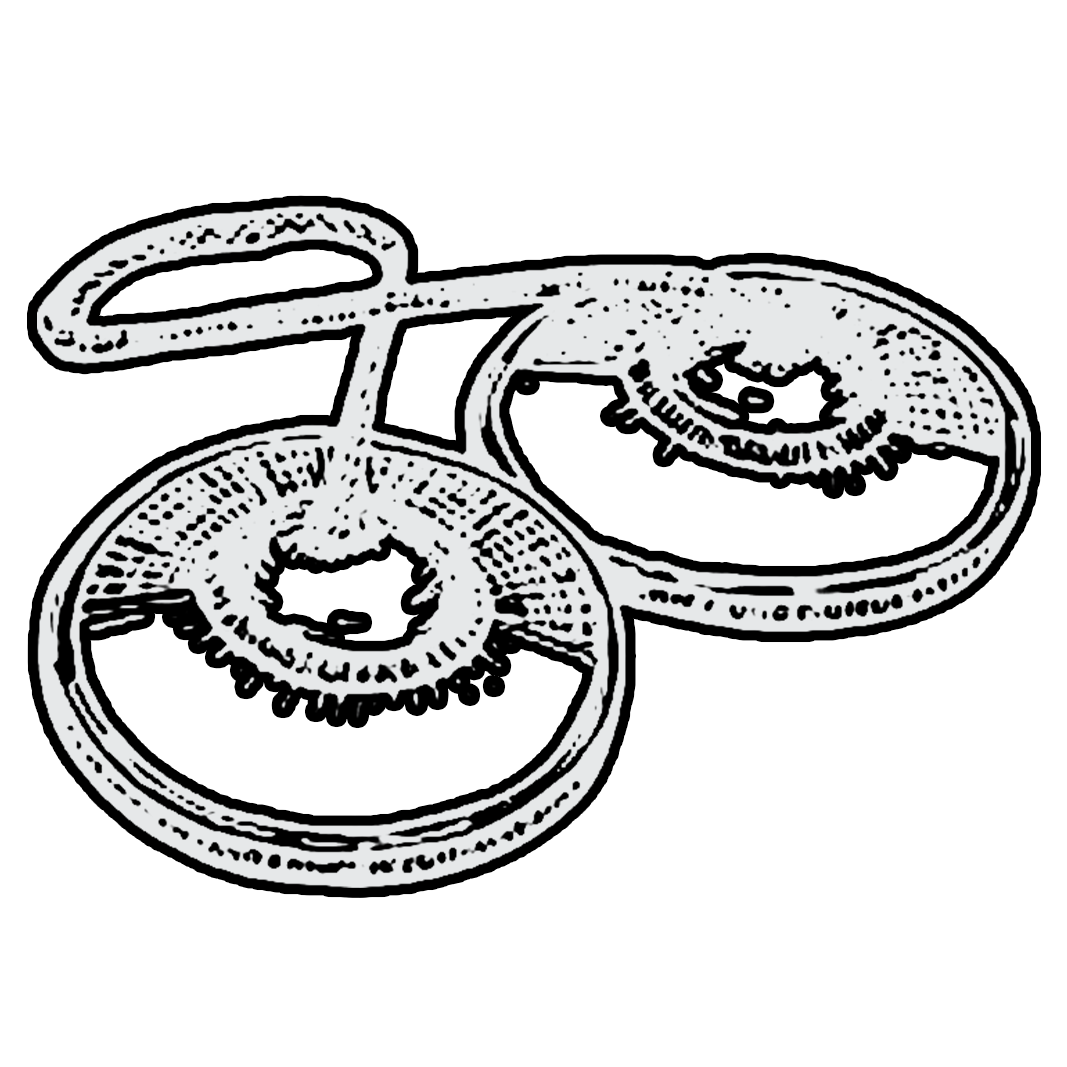 <strong>Tingsha</strong>