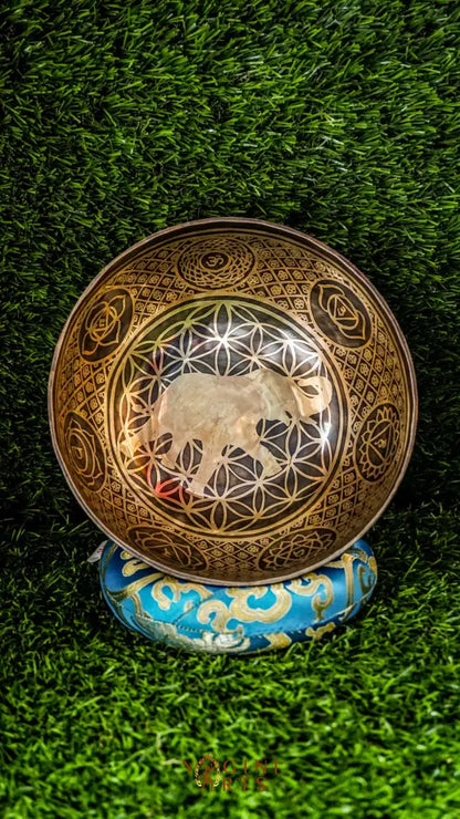 The Elephant Singing Bowl features a wise elephant symbol and floral patterns with the Om Mani Padme Hum chant. It produces a deep, grounding tone that brings calm, strength, and focus. Perfect for meditation and reflection. Includes wooden mallet and silk cushion.