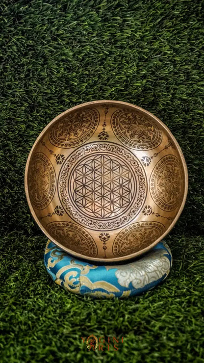 Bring balance and harmony to your space with our handcrafted Flower Mandala Singing Bowl. Featuring a detailed flower mandala inside and symmetrical patterns outside, it symbolizes spiritual growth and unity. Each clear, soothing tone supports meditation, mindfulness, and emotional clarity. Handcrafted by skilled artisans, this bowl is perfect for your altar or on-the-go practice. Includes a wooden mallet and silk cushion for easy use and care.