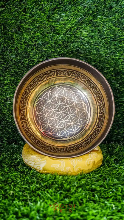 The Flower of Life Singing Bowl brings harmony and calm to your space. Its center features the sacred Flower of Life symbol, surrounded by simple patterns. The Om Mani Padme Hum mantra wraps around the outside, adding a spiritual touch. With clear, soothing tones, this bowl supports meditation, reflection, and peaceful decor. Perfect for grounding your mind and creating a balanced atmosphere at home or in your meditation space.