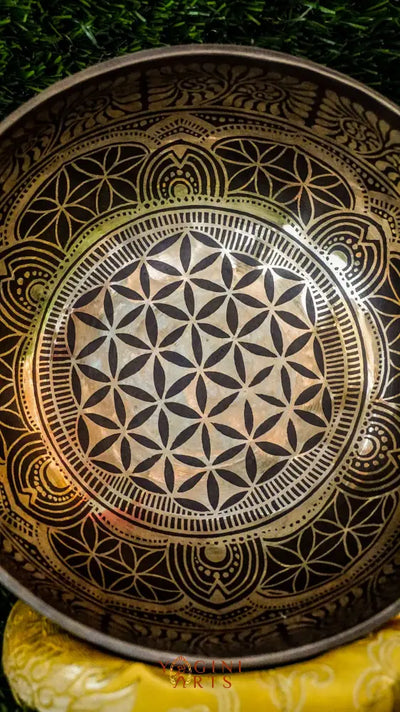 The Flower of Life Singing Bowl features the sacred Flower of Life at its center, surrounded by mandala motifs and the Om Mani Padme Hum mantra. Its warm, grounding sound supports mindfulness, balance, and stillness.