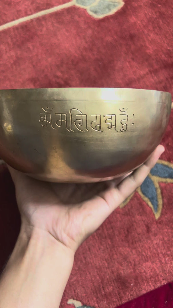 Load video: Close up of a detailed hand-engraved tiger motif with fine stippling inside a golden bronze Tibetan singing bowl.