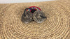 Tibetan Dragon Tingsha Cymbals featuring intricate dragon engravings, a black connecting cord, and a colorful brocade carrying case.